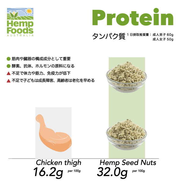 nuts-protein